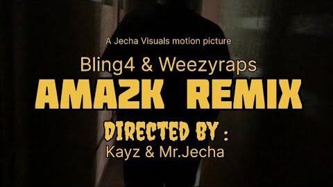 Bling4 & Weezyraps – Ama2k Remix (Official Visualizer)